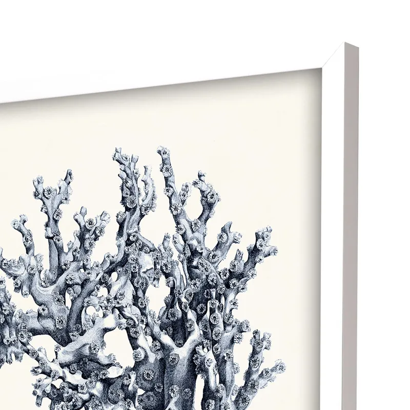 Blue Antique Coral S/4 Framed Art