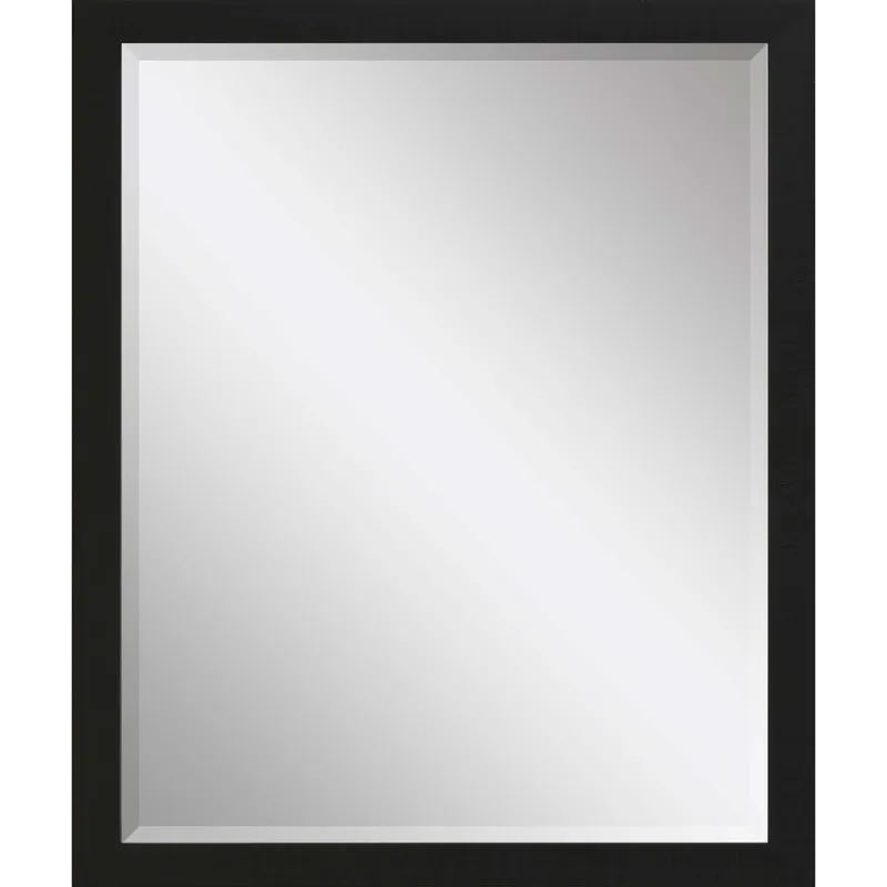 #869 22 x 28 Beveled Mirrors