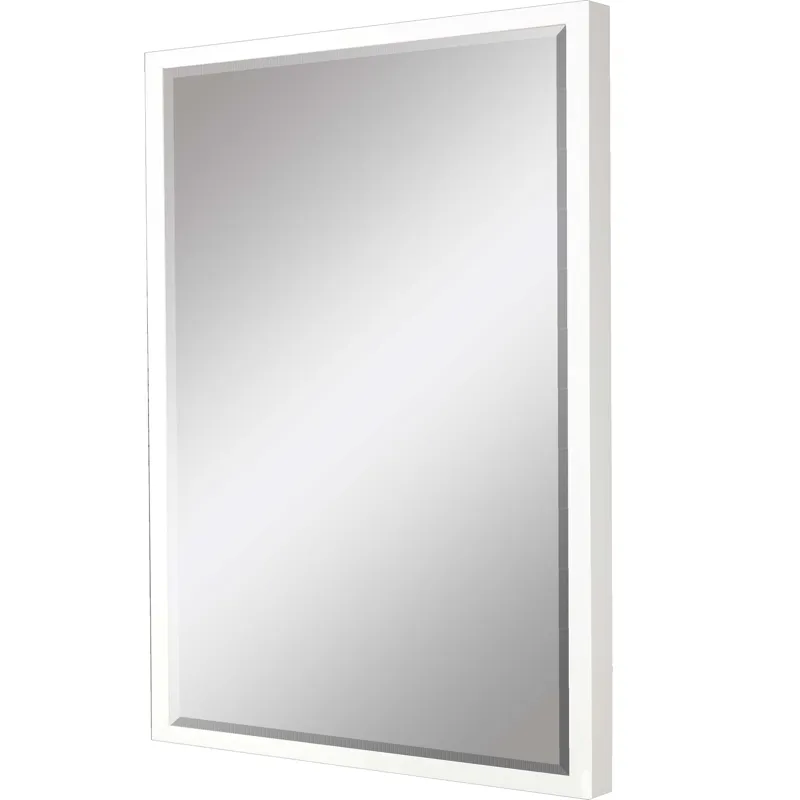 #867 24 x 36 Beveled Mirrors