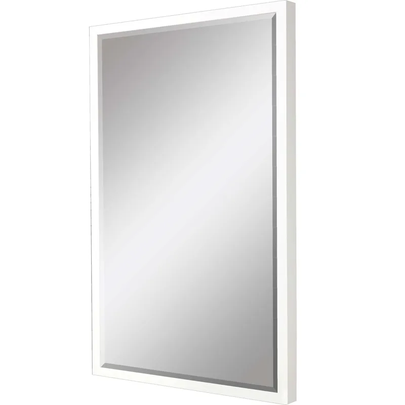 #867 30 x 72 Beveled Mirrors