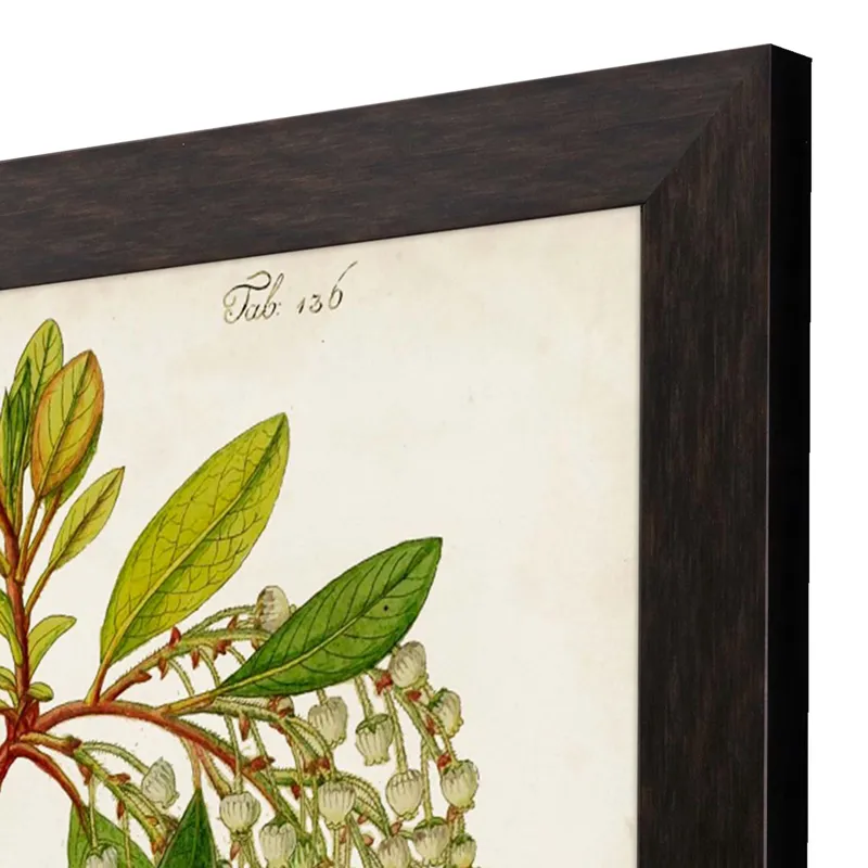 Antique Greenery IV Framed Art