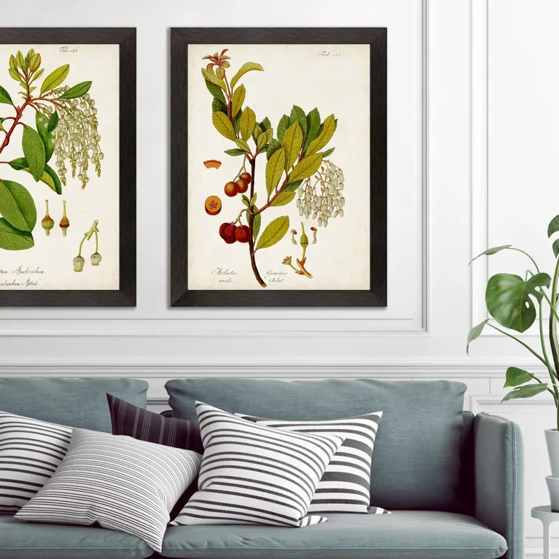 Antique Greenery III Framed Art
