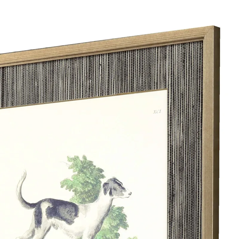 French Dogs S/4 Framed Art