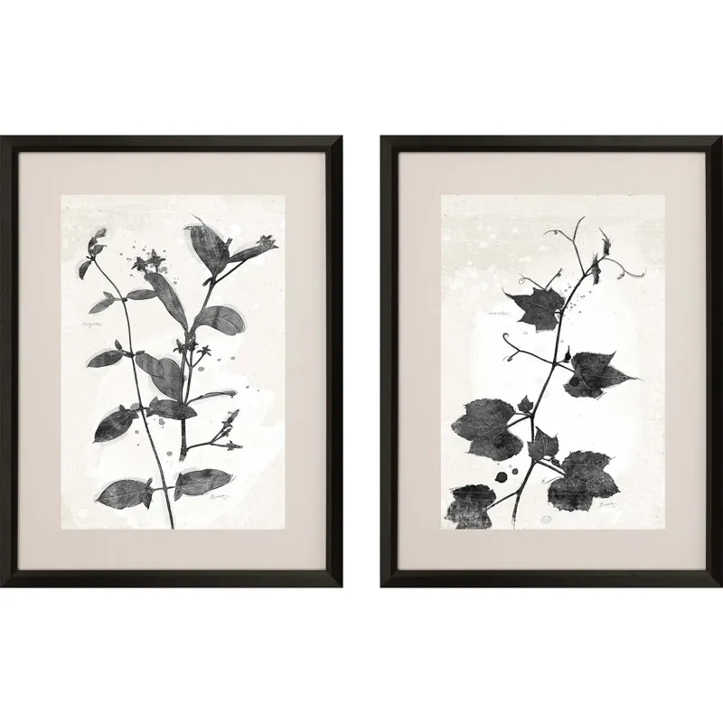 Garden Vines II S/2 Framed Art