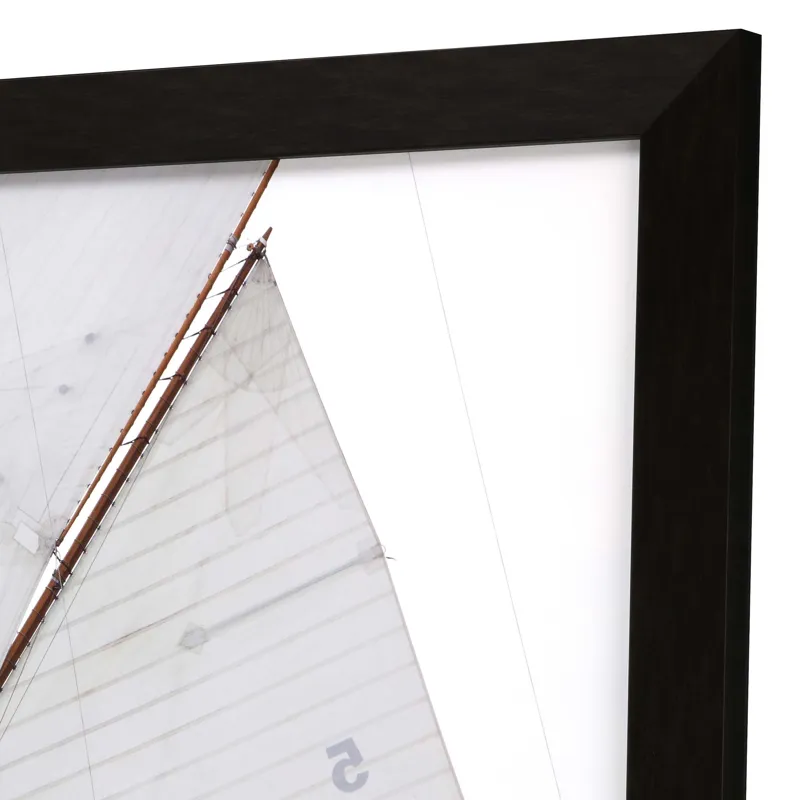 Sailing Focus - Run Framed Art