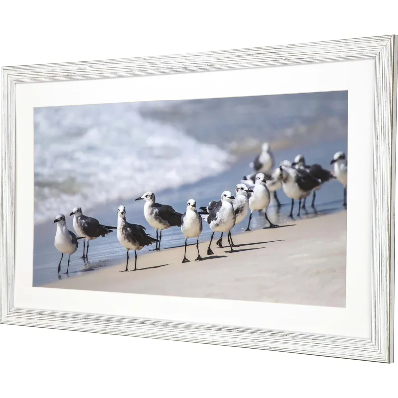 What\'s Up Gulls Framed Art