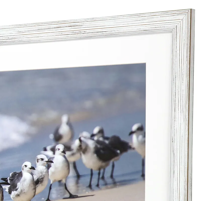 What\'s Up Gulls Framed Art