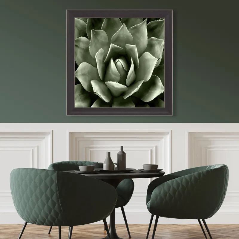 Green Succulent II Framed Art