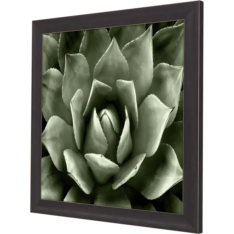 Green Succulent II Framed Art