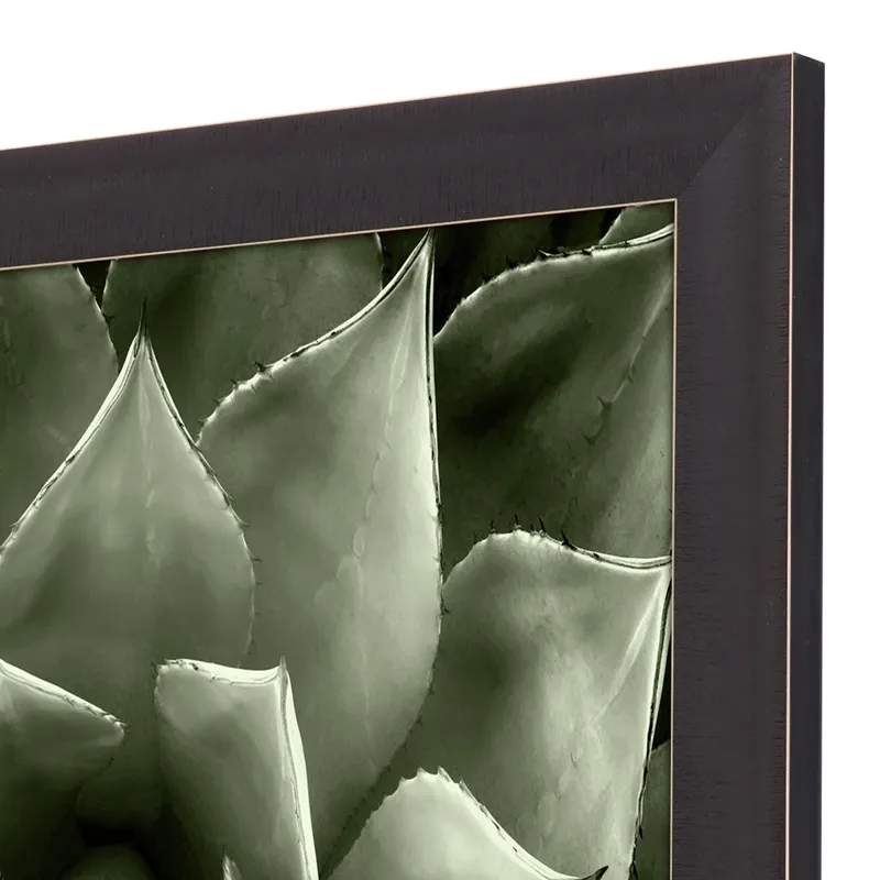 Green Succulent II Framed Art