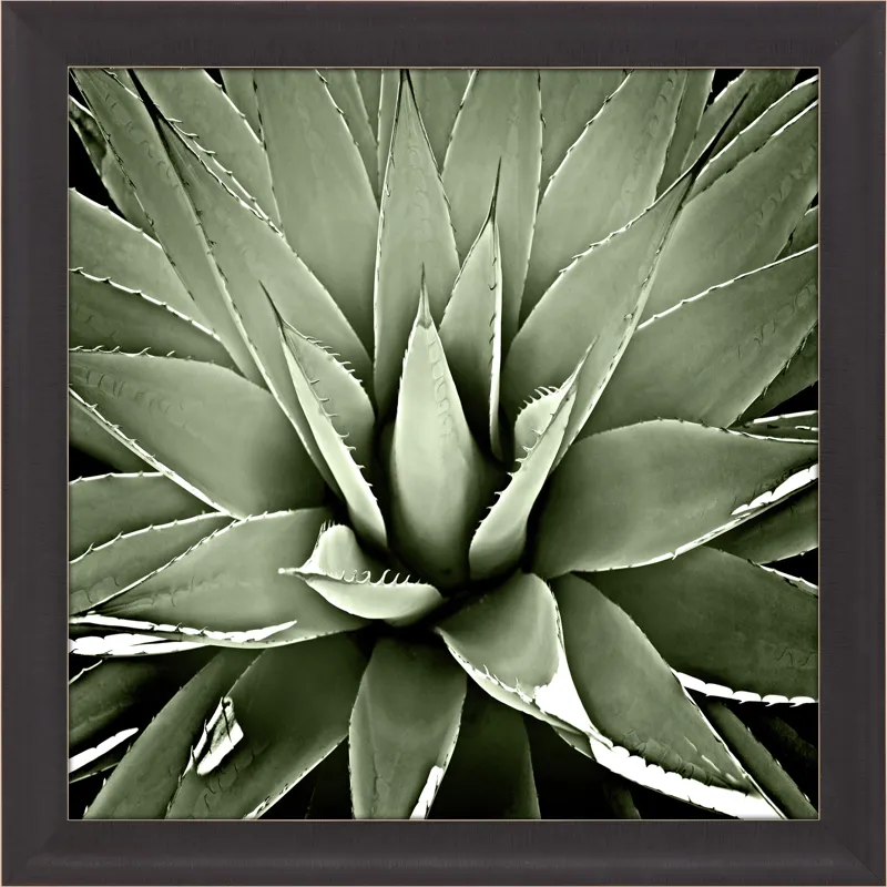 Green Succulent III Framed Art