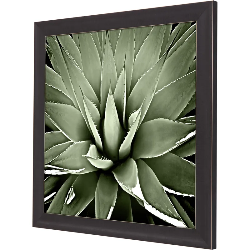 Green Succulent III Framed Art