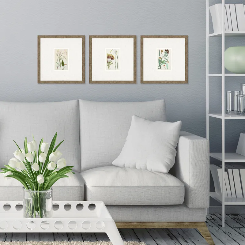 Antique Botanical I S/3 Framed Art