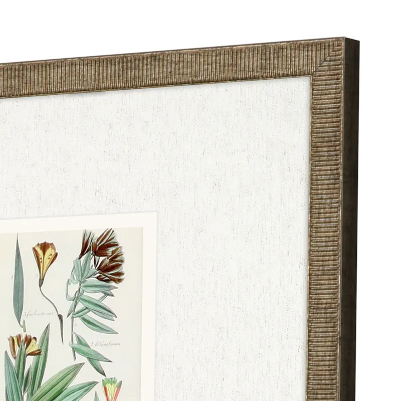 Antique Botanical I S/3 Framed Art