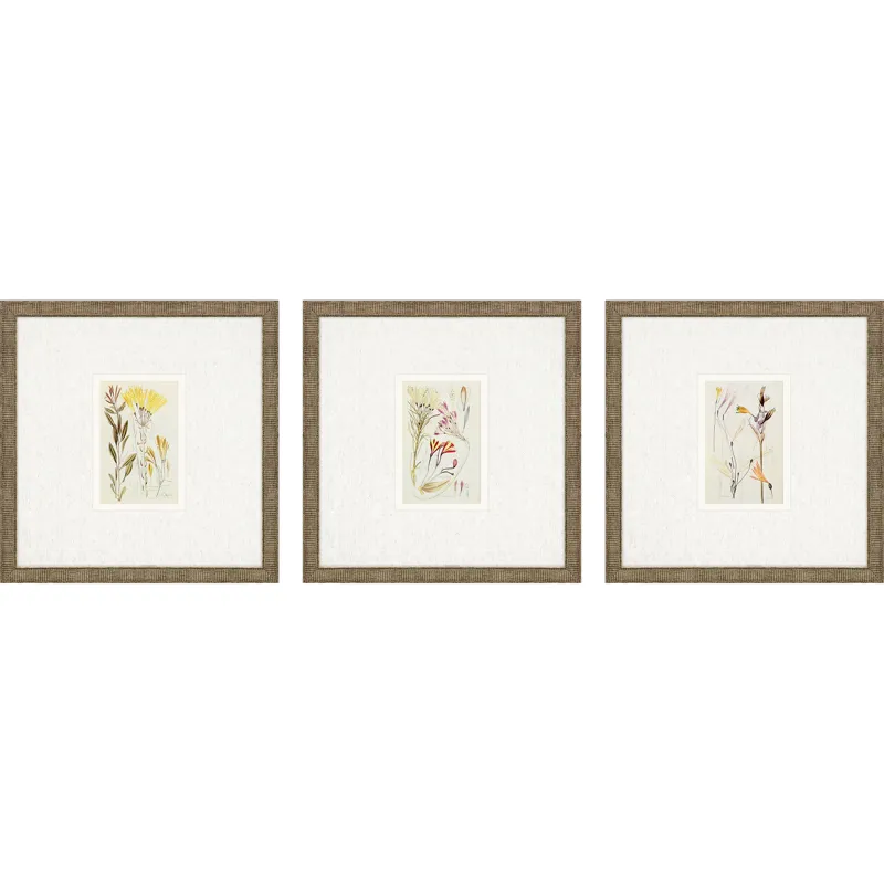Antique Botanical II S/3 Framed Art