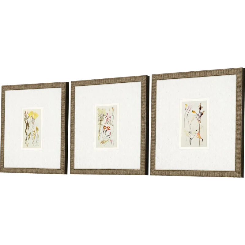 Antique Botanical II S/3 Framed Art