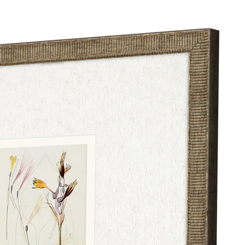 Antique Botanical II S/3 Framed Art