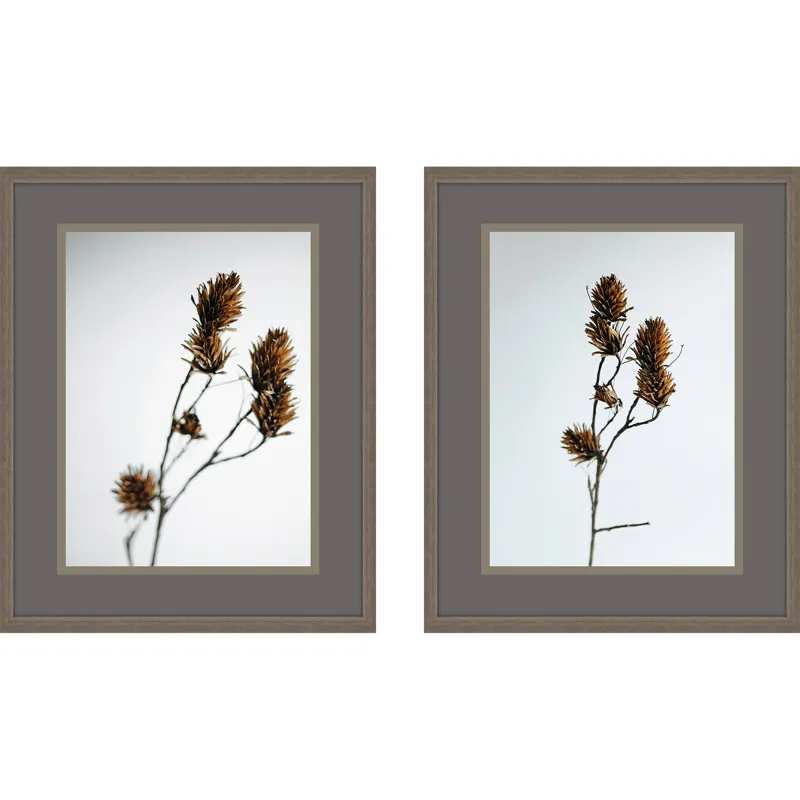 Dried Bud S/2 Framed Art