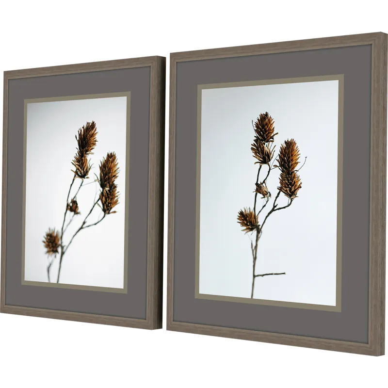 Dried Bud S/2 Framed Art