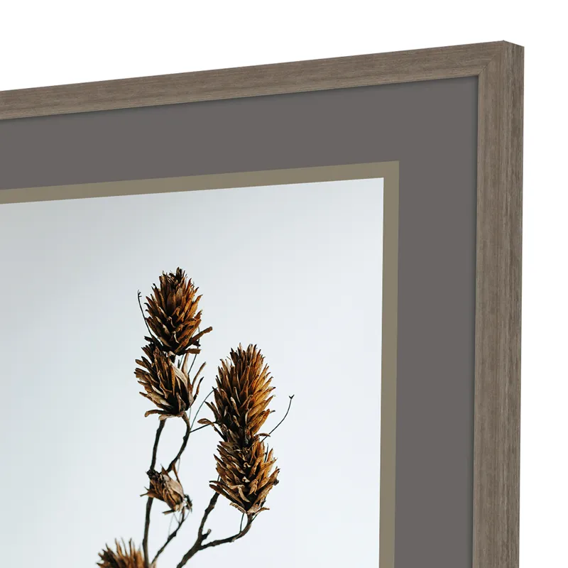 Dried Bud S/2 Framed Art