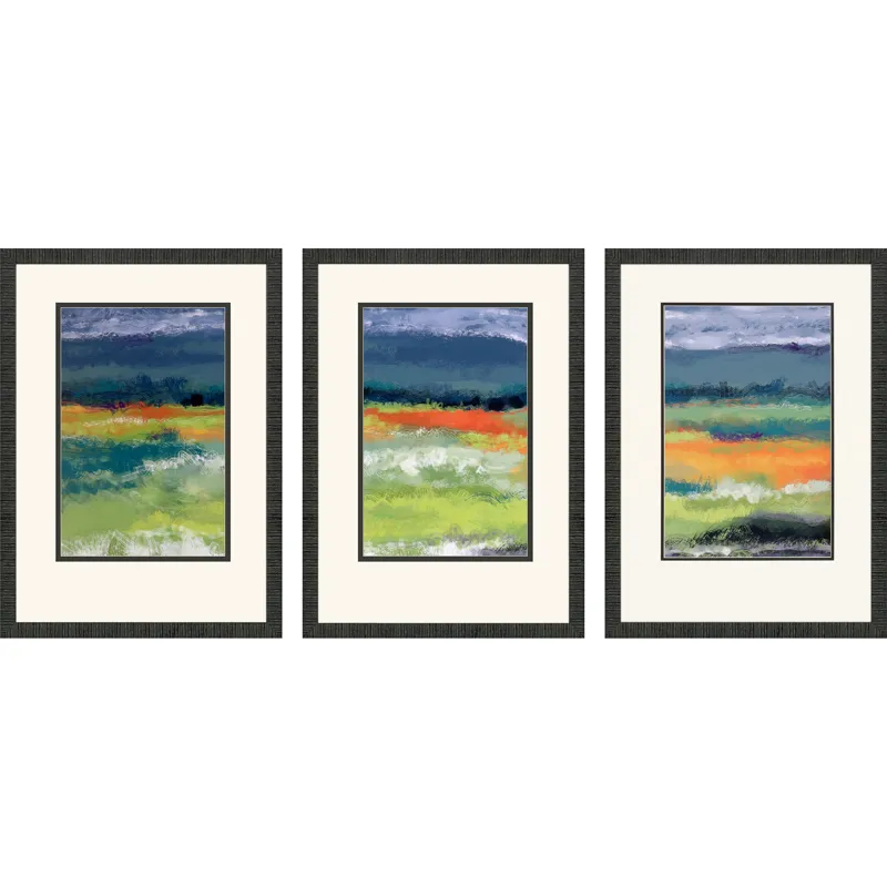 Cloudy Day S/3 Framed Art
