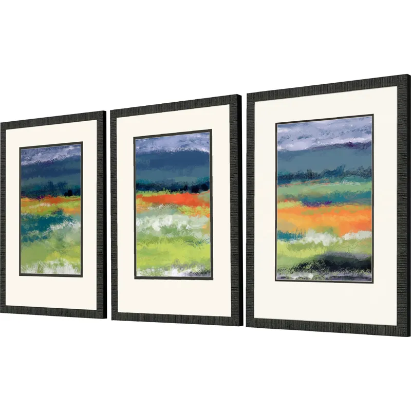 Cloudy Day S/3 Framed Art