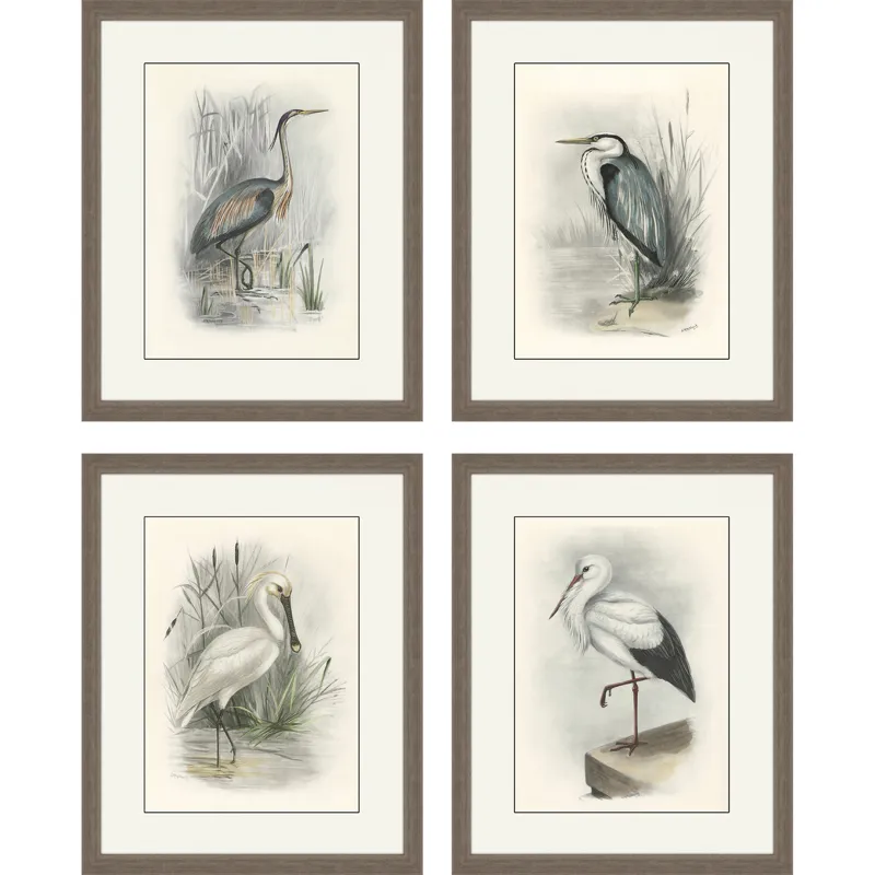 Birds S/4 Framed Art