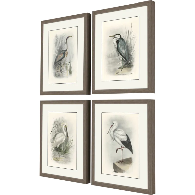 Birds S/4 Framed Art