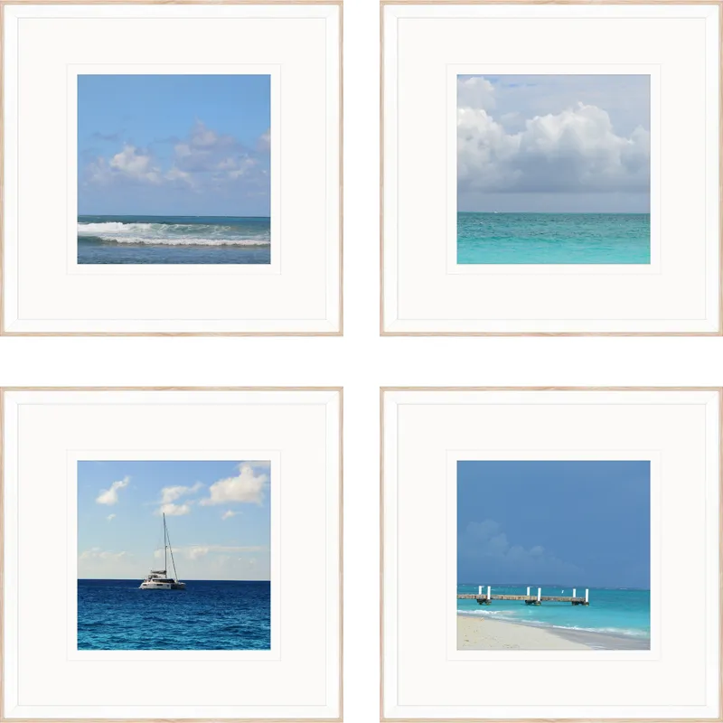Ocean Adventures I S/4 Framed Art