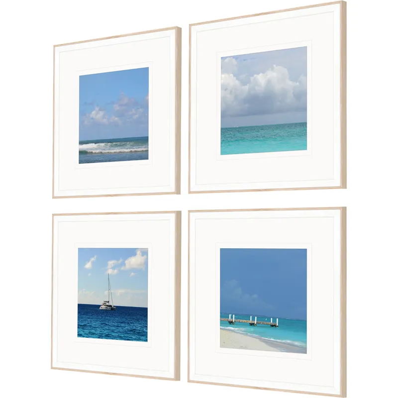 Ocean Adventures I S/4 Framed Art