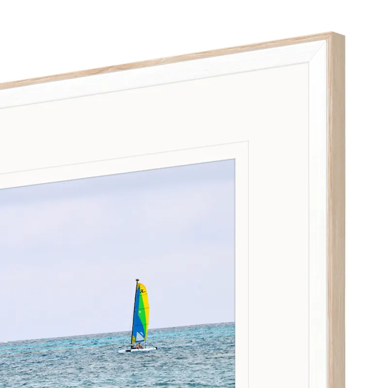Ocean Adventures II S/4 Framed Art