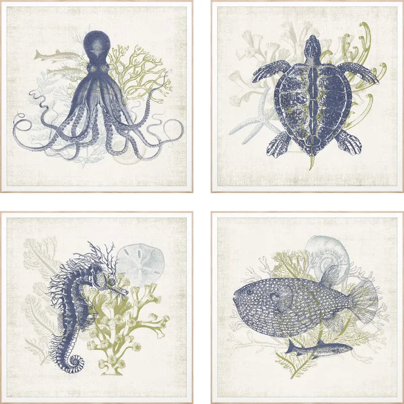 Coastal Ephemera S/4 Framed Art