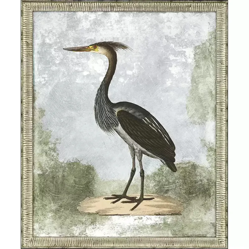 Cranes II S/2