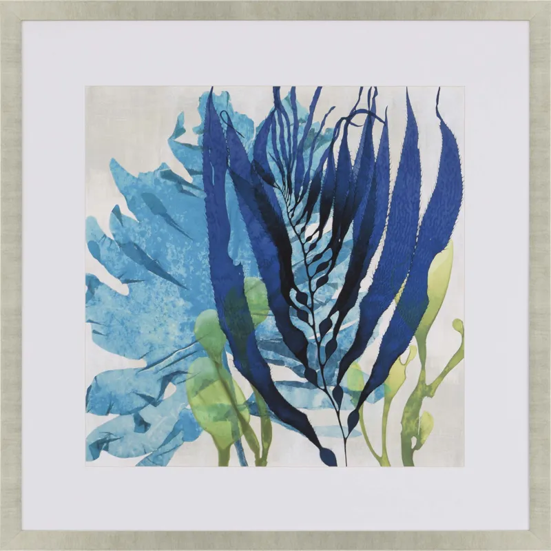 Sea Nature II Framed Art