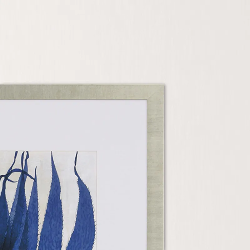 Sea Nature II Framed Art