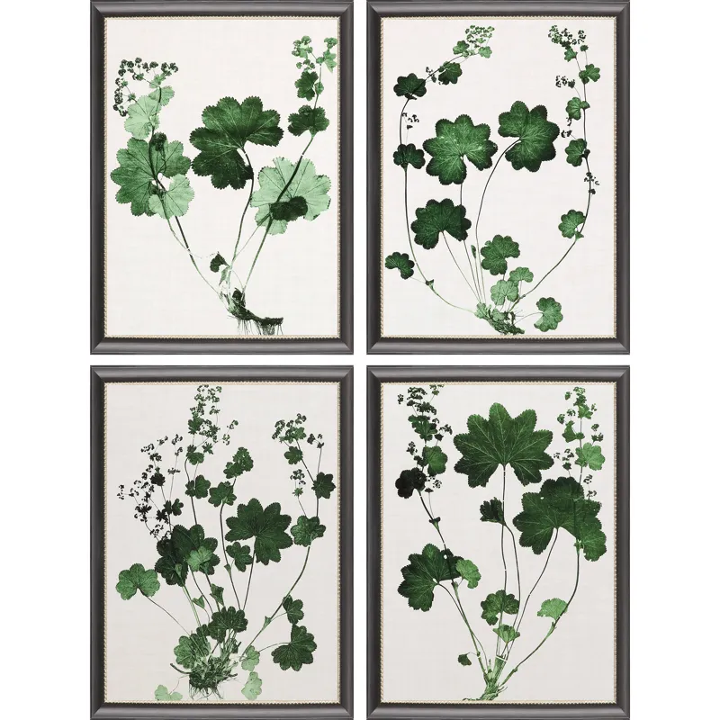 Forest Foliage S/4 Framed Art