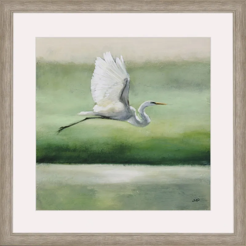 Flight Framed Art