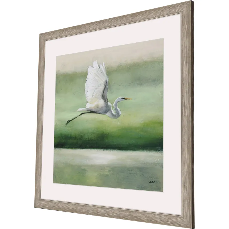 Flight Framed Art