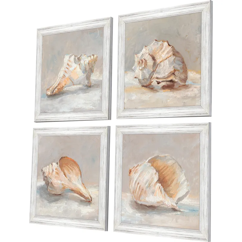 Shell Study S/4 Framed Art