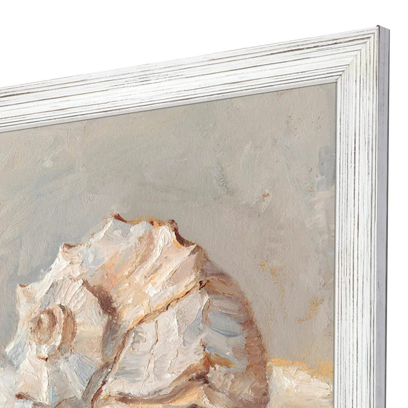 Shell Study S/4 Framed Art
