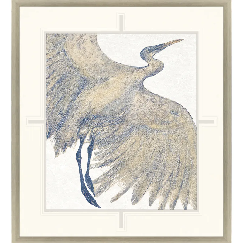 Plumage I Framed Art