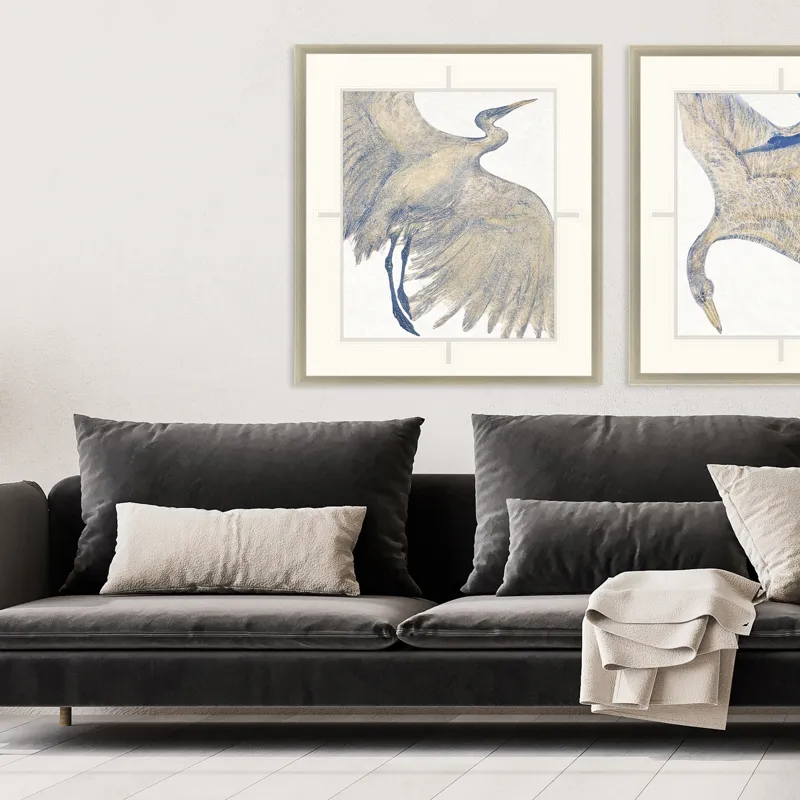 Plumage I Framed Art