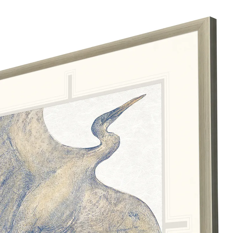 Plumage I Framed Art