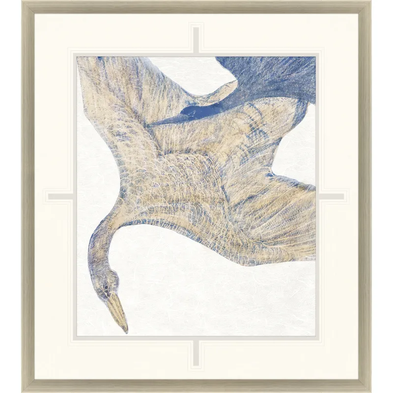 Plumage II Framed Art