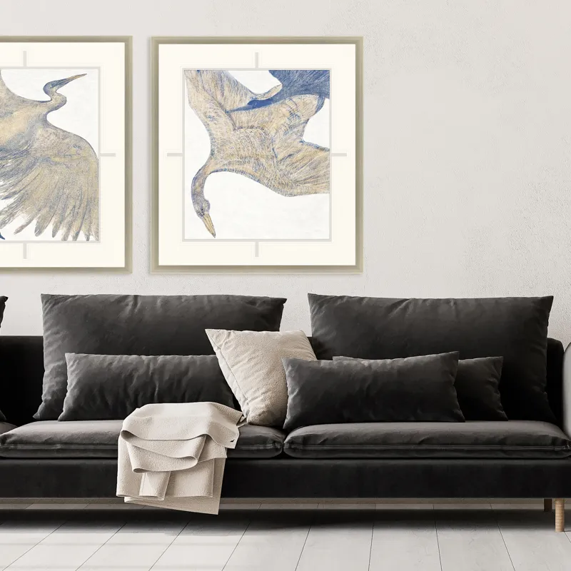 Plumage II Framed Art