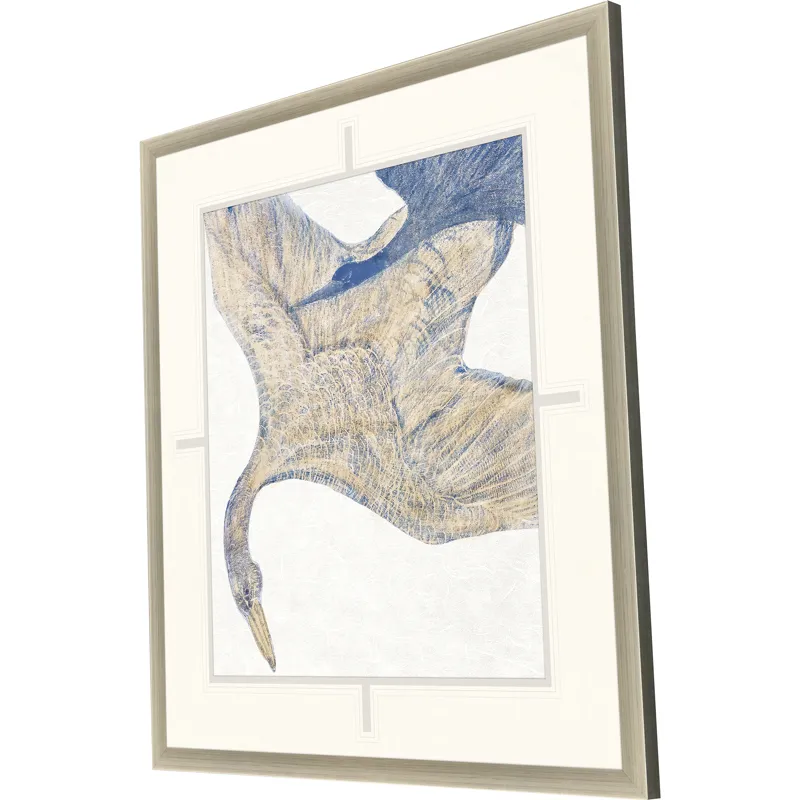 Plumage II Framed Art