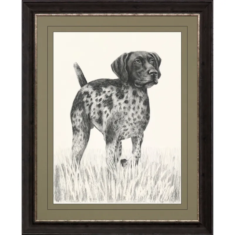 Canine Gaze Framed Art