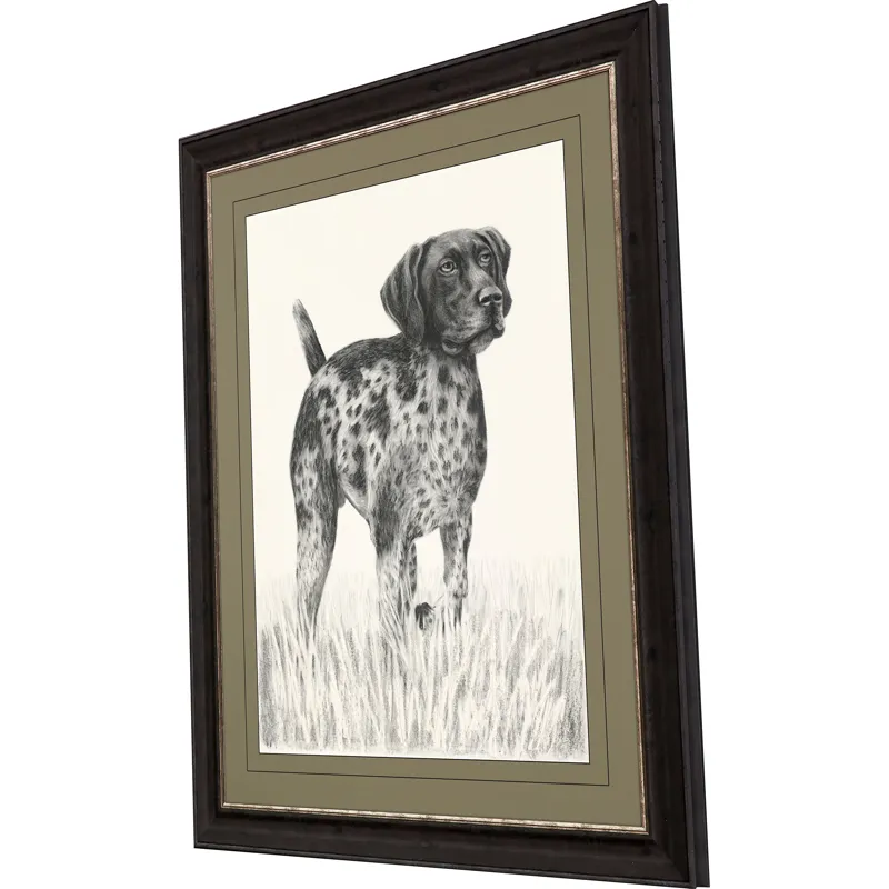 Canine Gaze Framed Art