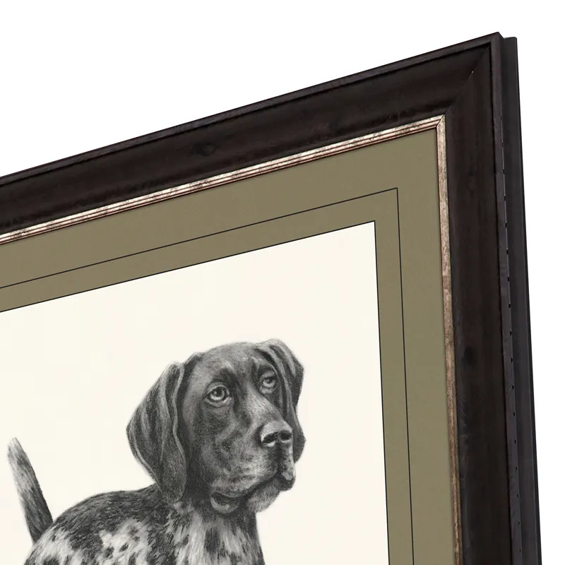 Canine Gaze Framed Art
