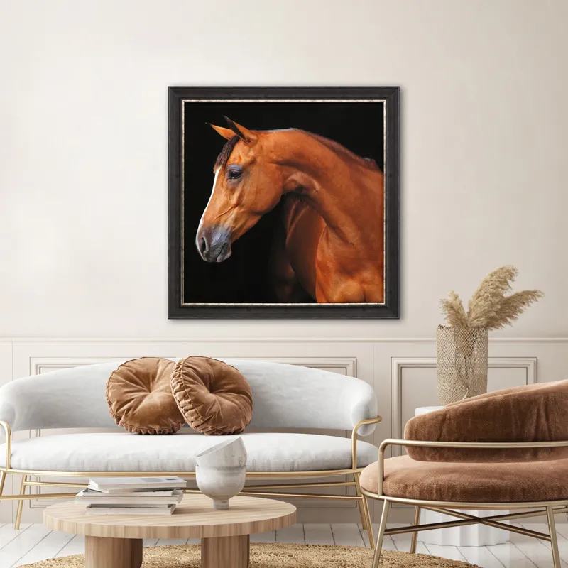 Jack the Horse Framed Art